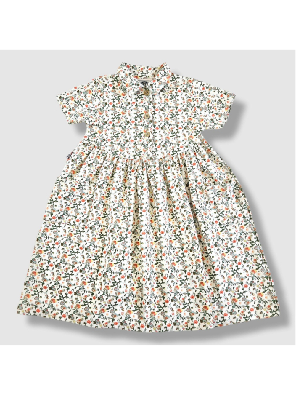 Vintage Cottagecore Floral Dress, R&R Kids Canada, Rose Coral Green Print | 3X